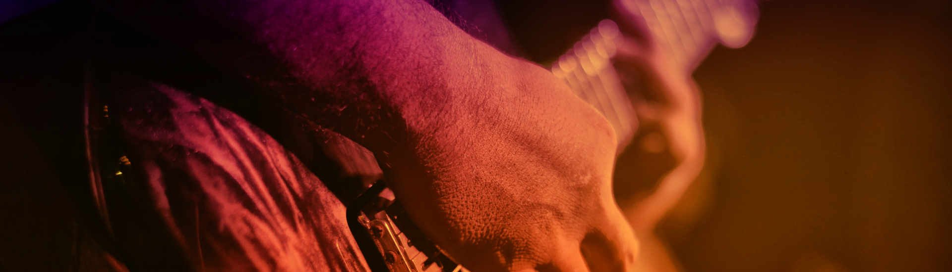 dj sven events live band